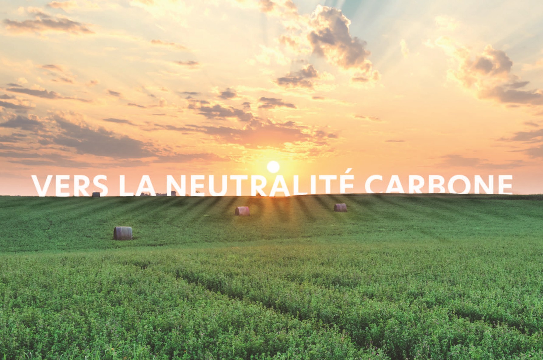CARROUSEL_historique_2023_environnement-recadre.jpeg Le Groupe CIR : objectif neutralité carbone